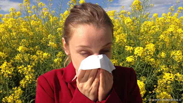 Doctora broncopulmonar: El cambio climático prolonga la alergia e intensifica sus síntomas