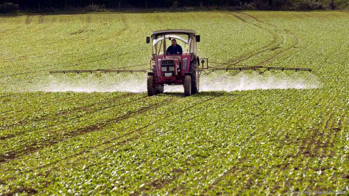 Schutz für Pflanzen: Warum wir künftig Amöben einsetzen könnten