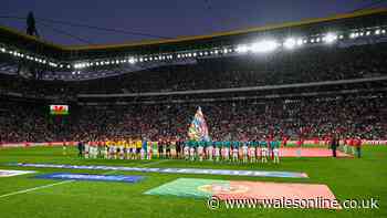 Wales supporters criticise 'inappropriate searches' at Portugal game