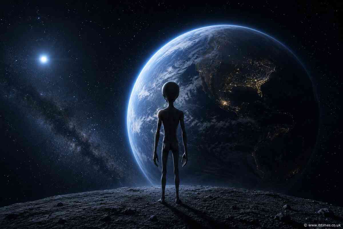 'Replace Us': Whistleblower Dylan Borland Shares Terrifying Alien Theory That Riles Up Online UFO Critics