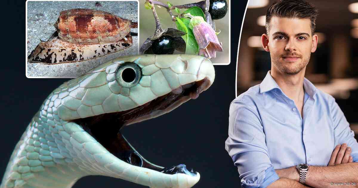 “Raap je deze schelp op, dan heb je alleen nog tijd voor één sigaret”: een exclusieve blik in het nieuwe boek van Martijn Peters