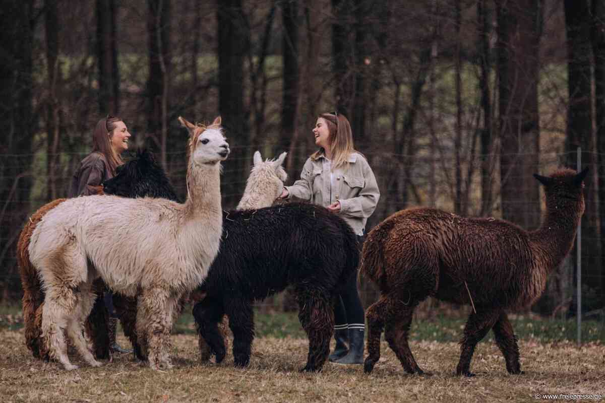 Eine Auszeit mit Klaus-Dieter: Wie zwei Vogtländerinnen eine Alpaka-Farm gegründet haben