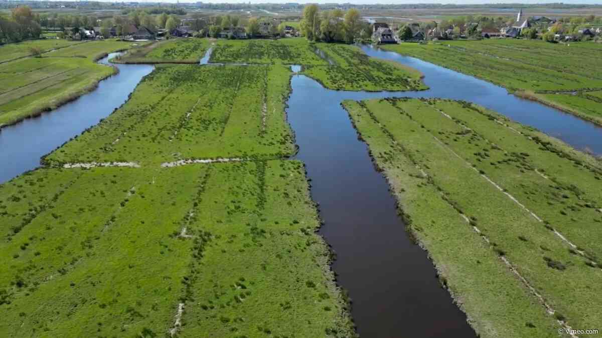 Landsmeer bij Watergang
