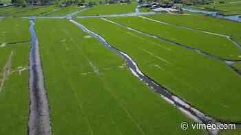 Volgersloot drone