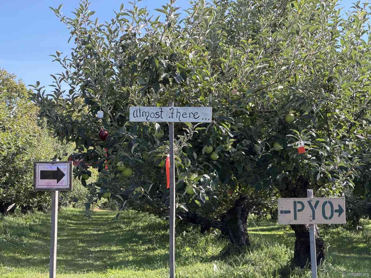 Betting the farm on 8 sunny days: Inside Vermont’s pick-your-own orchards