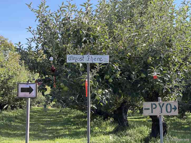 Betting the farm on 8 sunny days: Inside Vermont’s pick-your-own orchards