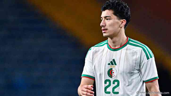 Bayer Leverkusen starlet Ibrahim Maza shining on the international stage for Algeria