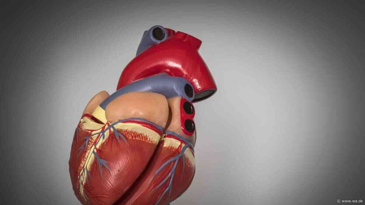 Melatonin soll dem Herzen schaden – was neue Studien dazu zeigen
