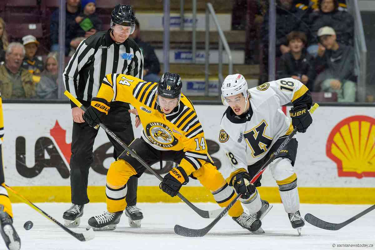 Sting win 5-3 against Kingston