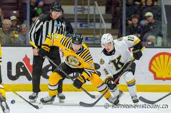 Sting win 5-3 against Kingston