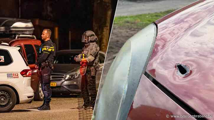 Agent opent vuur midden in woonwijk: dit is wanneer een agent mag schieten