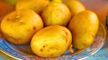 Potatoes will last longer without sprouting if stored with 1 everyday kitchen item