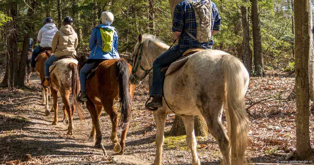 Ton wordt ineens op een paard geholpen en hoort zijn zoon hard lachen