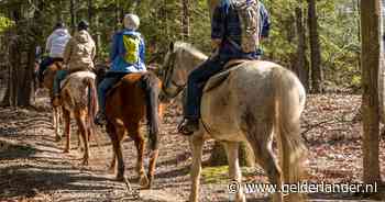 Ton wordt ineens op een paard geholpen en hoort zijn zoon hard lachen