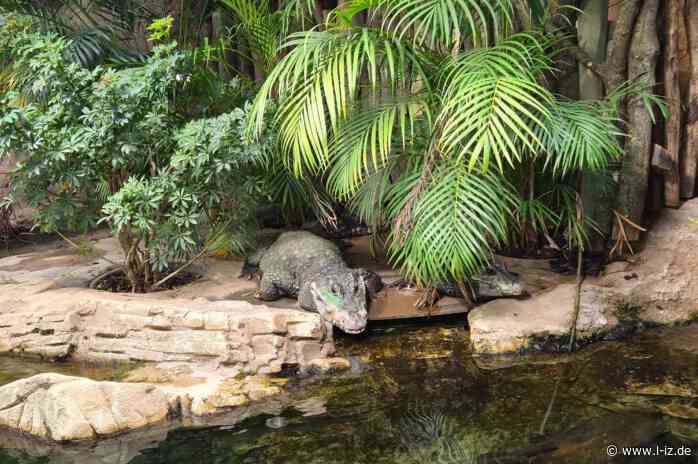 Ein Jahr voller Meilensteine: Terrarium, Vogelwelten & Feuerland – Zoo Leipzig verbindet Tierwohl, Artenschutz und Besuchererlebnis