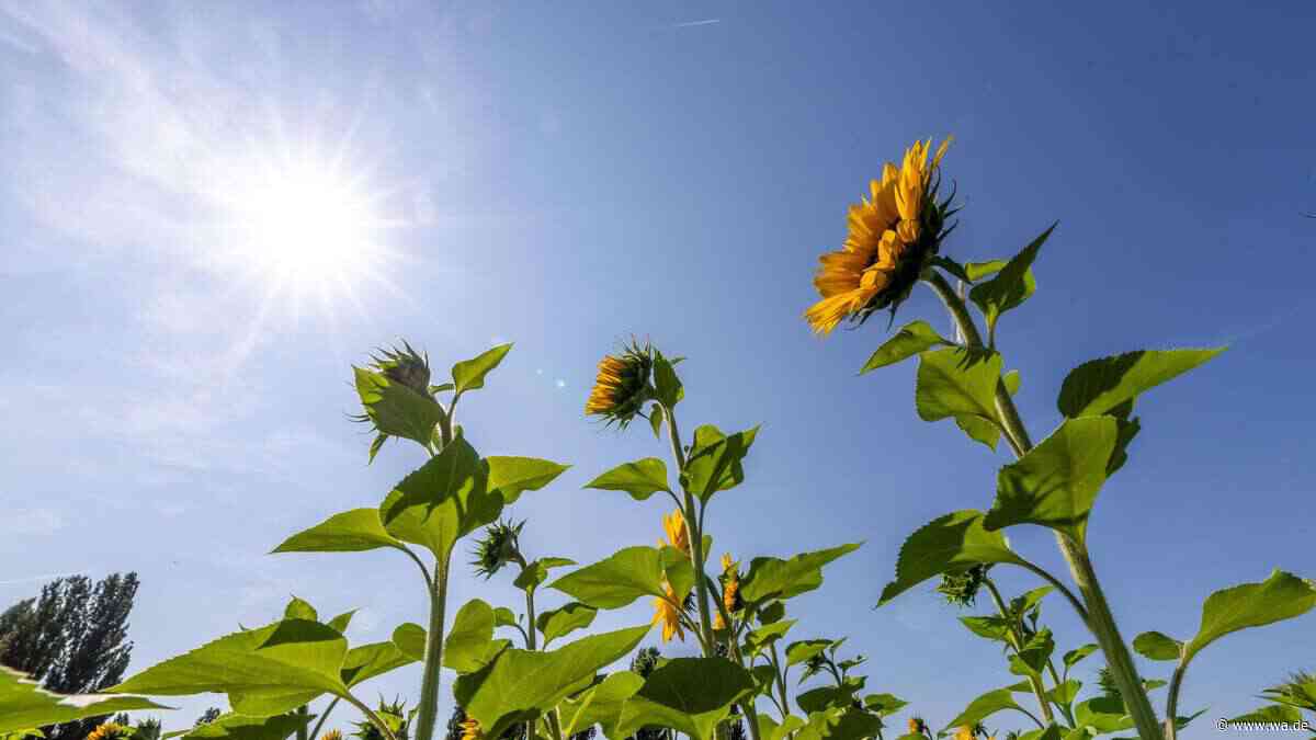 Heiß wie im Sommer: Wetter in NRW spielt total verrückt