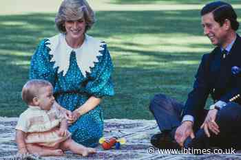 Princess Diana's Love for Prince William and Prince Harry Saved Her From Suicide, Charles Spencer Says