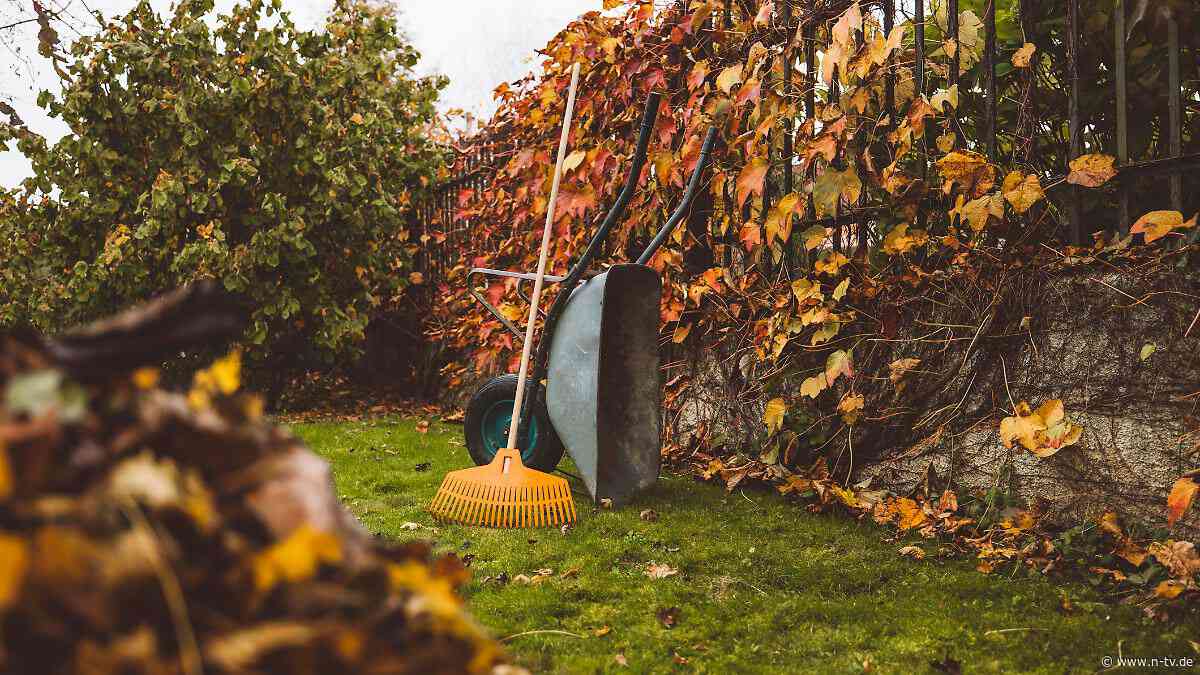 Garten winterfest machen: Gartenarbeit im Herbst: Warum die Reihenfolge zählt
