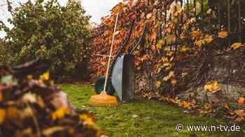 Garten winterfest machen: Gartenarbeit im Herbst: Warum die Reihenfolge zählt