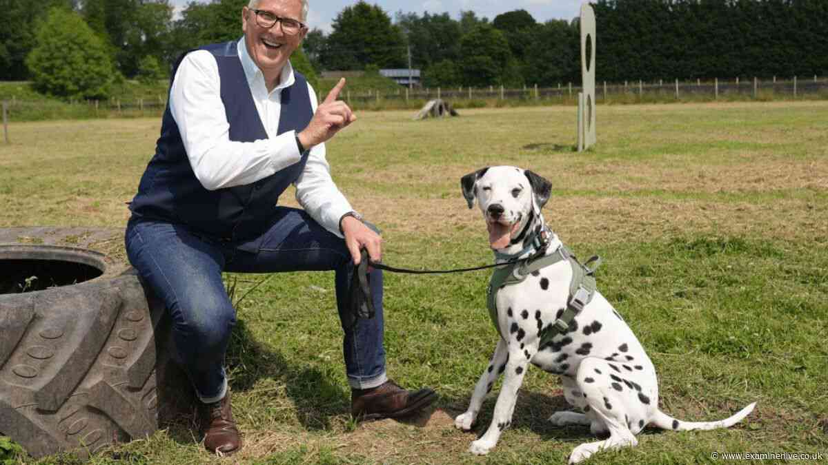 Meet Strictly Come Dancing's Selby-born star Graeme 'The Dogfather' Hall