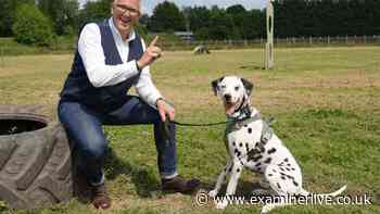 Meet Strictly Come Dancing's Selby-born star Graeme 'The Dogfather' Hall