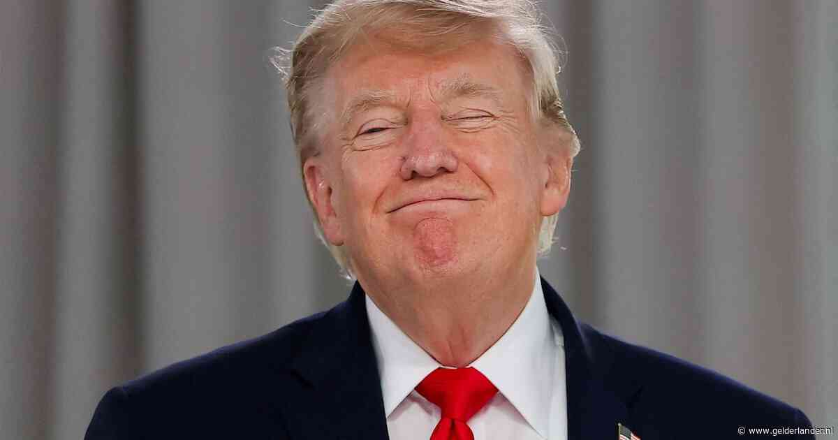 Zo zien we onszelf terug in het Amerika van Trump: ‘Wat wij geëxporteerd hebben, is de afwijking’