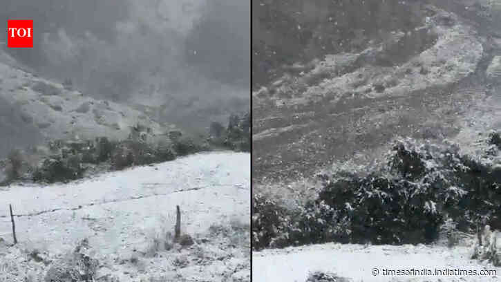 Season’s first snowfall blankets Himachal Pradesh's Kinnaur as early winter chill reaches higher reaches
