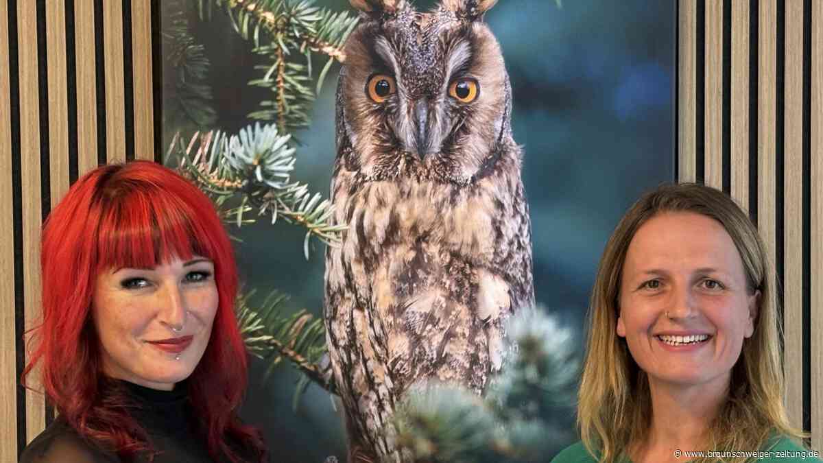 Hier gibt es gratis eine Auszeit in der Natur mitten in Gifhorns Innenstadt