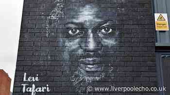 Liverpool mural defaced in the middle of the night by balaclava-wearing vandal