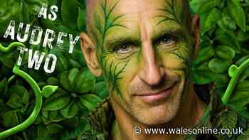 Former Wales rugby captain stars as a man-eating plant in theatre company's musical