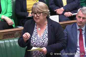 Christine Jardine announces she will stand down as MP at next election