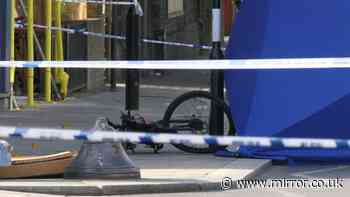 Murder probe after e-bike cyclist killed in horror crash in Kensington