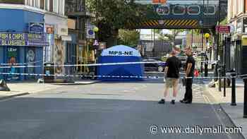 E-bike rider, 24, dies in crash involving moped - as Metropolitan Police launch murder probe