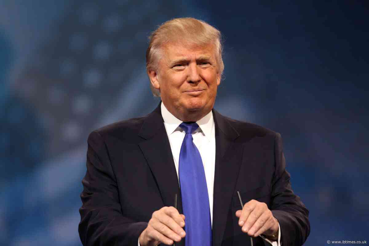 'He Cannot Handle It': Mary Trump Warns Donald Trump Will Lash Out Uncontrollably During Boycott