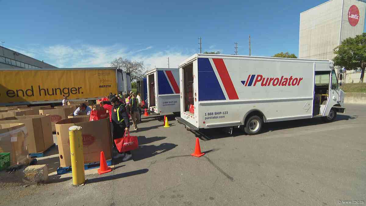 Daily Bread Food Bank stocking up for annual thanksgiving food drive