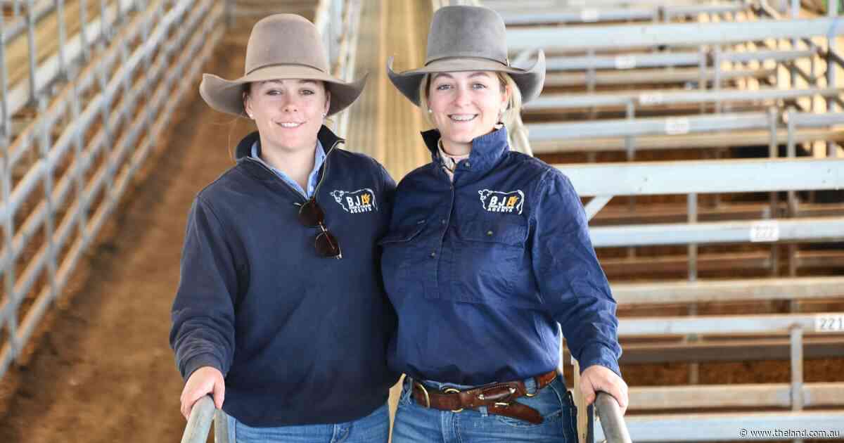 'It's in my blood': meet the women building more than a career as livestock agents