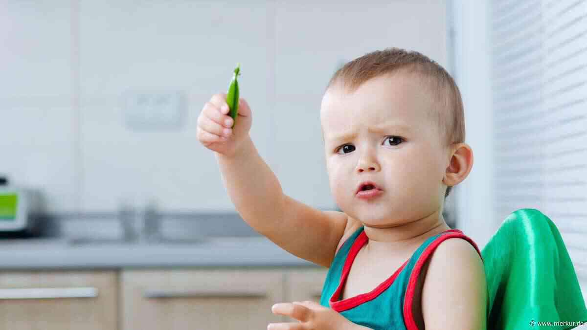 Schon bei Zweijährigen: Fehler beim Mittagessen schadet der Sprachentwicklung