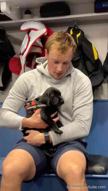 Avalanche Puppy Day 🐶