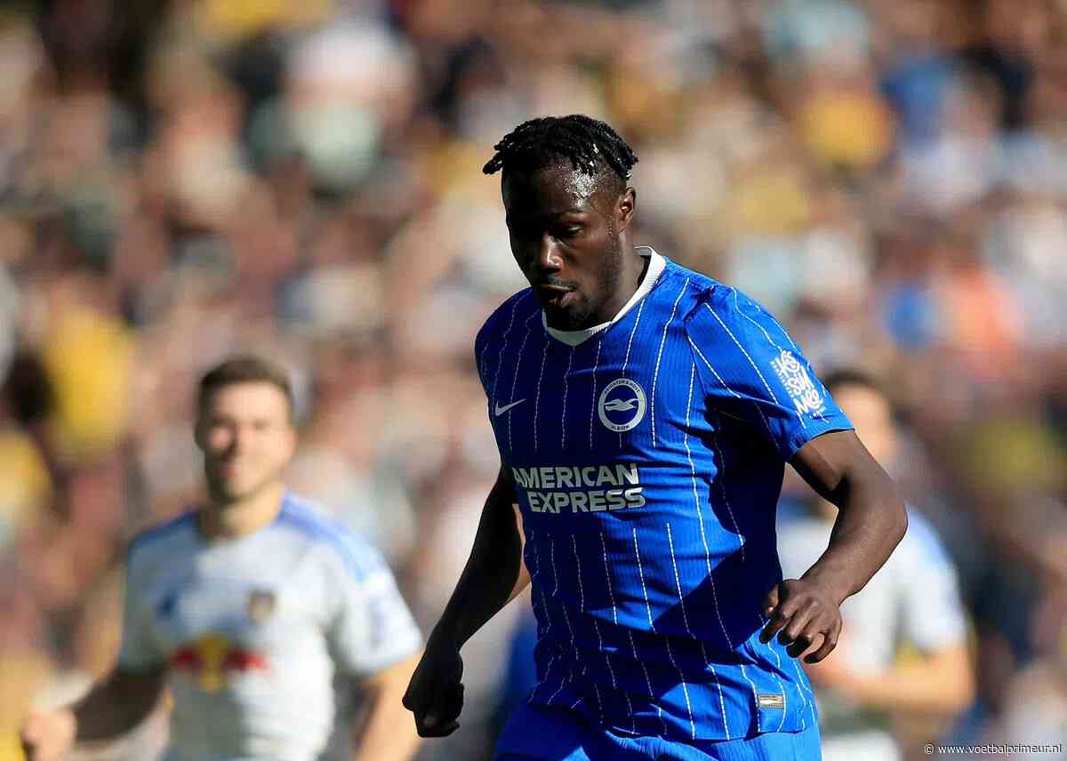 Interview krijgt plots bizarre wending: Brighton-spits gestoken door een bij
