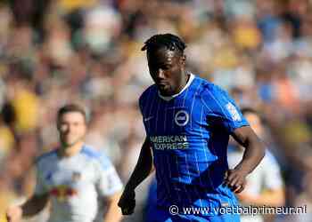 Interview krijgt plots bizarre wending: Brighton-spits gestoken door een bij