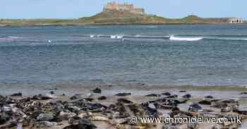 7 stunningly secluded Northumberland beaches to avoid crowds and how to find them