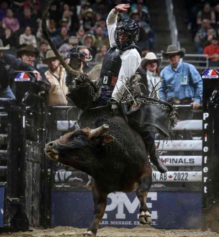 A buncha bull chute: Pro bull riders jangle their spurs into GP