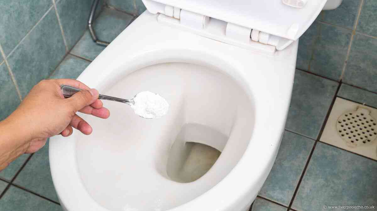 Toilets will never be stained brown if you add 1 natural item to the bowl once a week