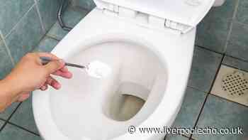 Toilets will never be stained brown if you add 1 natural item to the bowl once a week