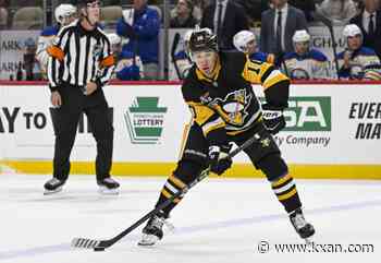 NHL player takes leave from team after father killed by bear