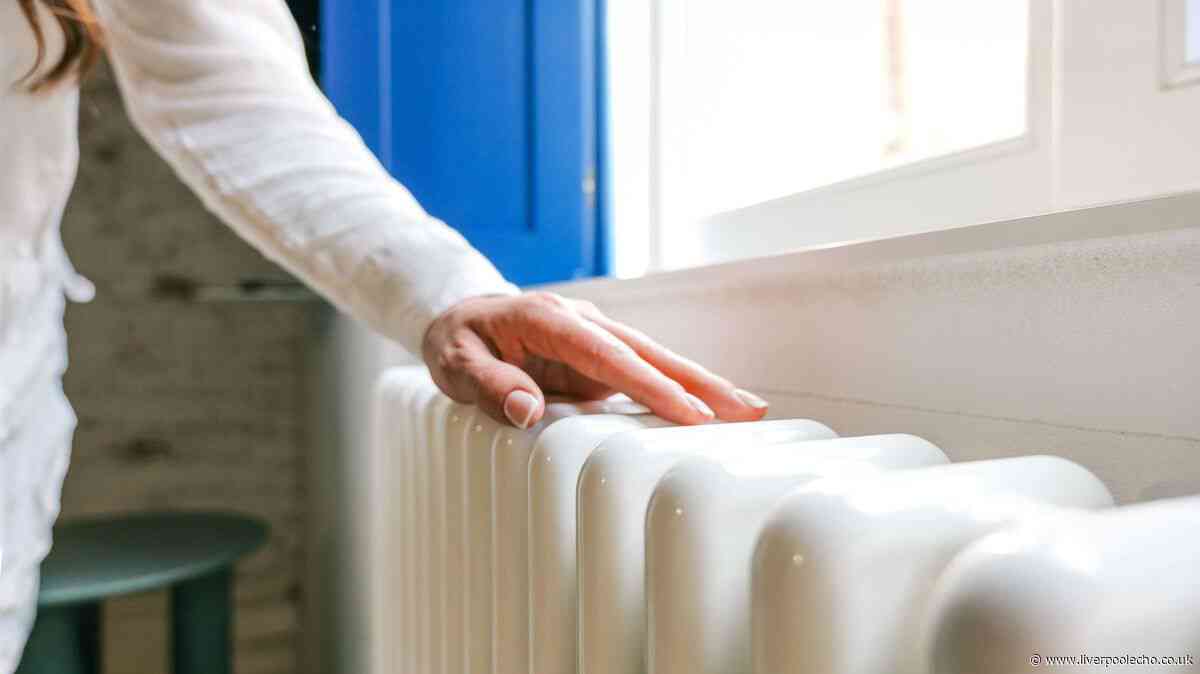 Radiators be warmer this winter if you do simple 10-second task now