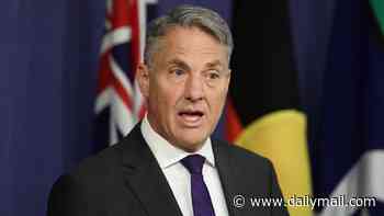 Fresh twist as Richard Marles reveals he met OpenAI boss days before government was told of Medicare breach