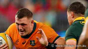 Angus Bell’s journey from a cricket scholarship to the Wallabies’ engine room