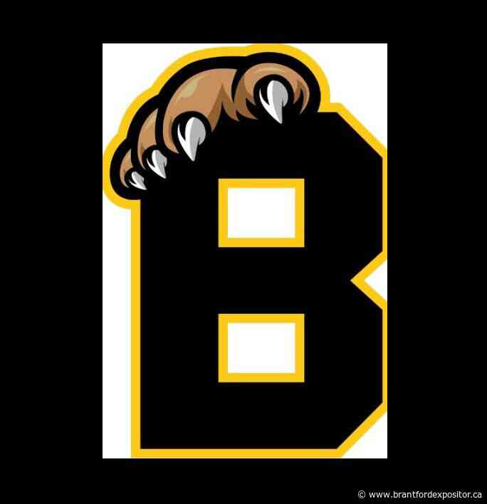 Brantford Bulldogs go on scoring spree against Kingston Frontenacs