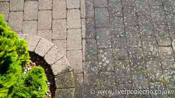 Patios will be cleaner in 10 minutes if you use 1 simple household item paving pro loves